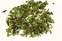 bauchfreund-lose_720x.webp
