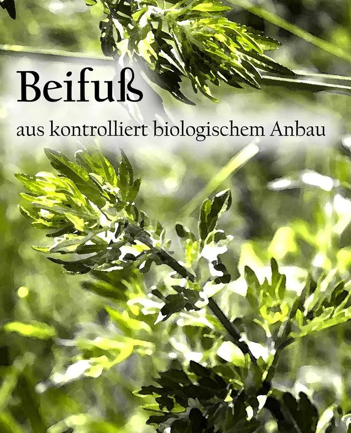 Etikett-Beifuss_.webp