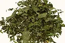 pfefferminze-lose_1800x1800e9dd.webp