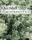 Etikett-Quendel-Echter_Feldthymianbe_1800x1800988c.webp