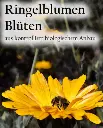 Etikett-Ringelblumenbluetenbf_36.webp
