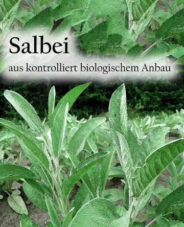Etikett-Salbeibh_360x.webp