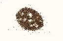 kuemmel-lose_1800x18004a19.webp
