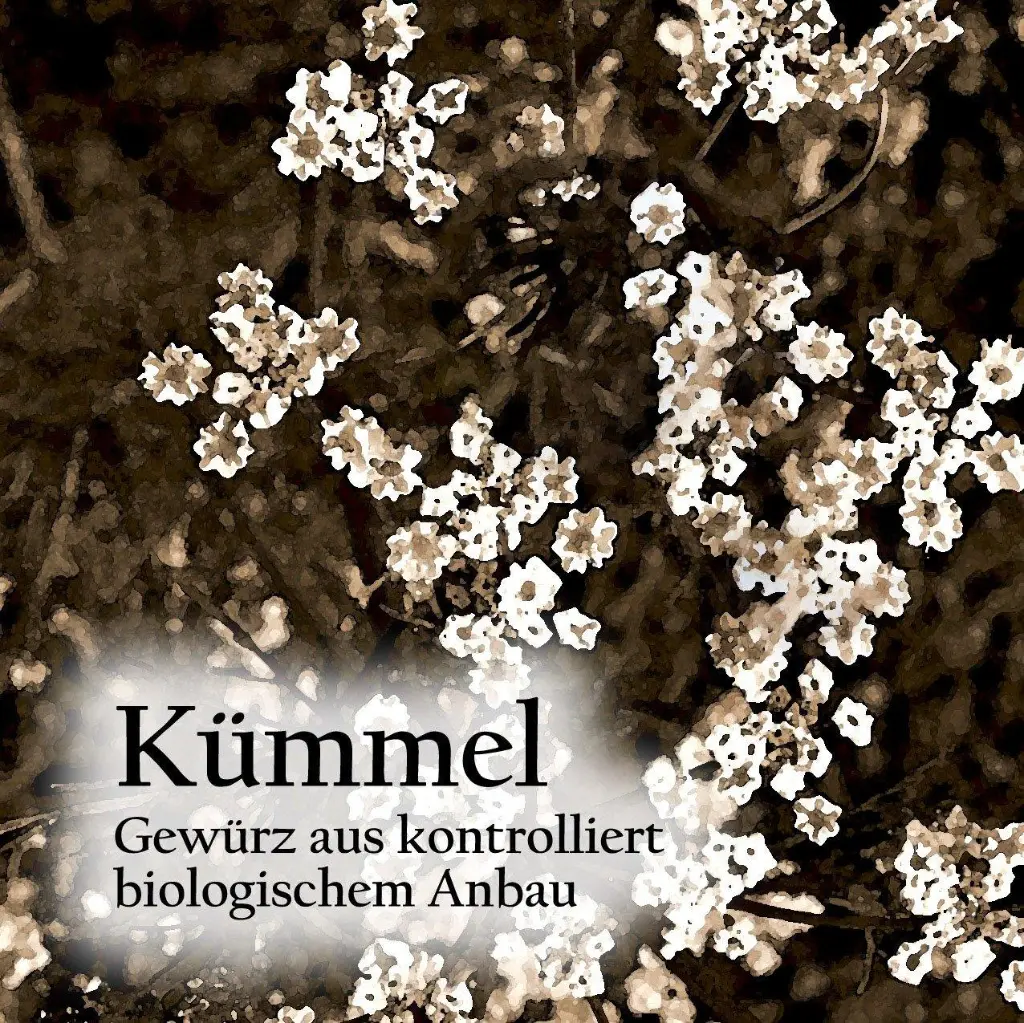 Kuemmelby_1800x1800b676.webp