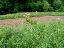 weidenr1_1800x18009fc6.webp