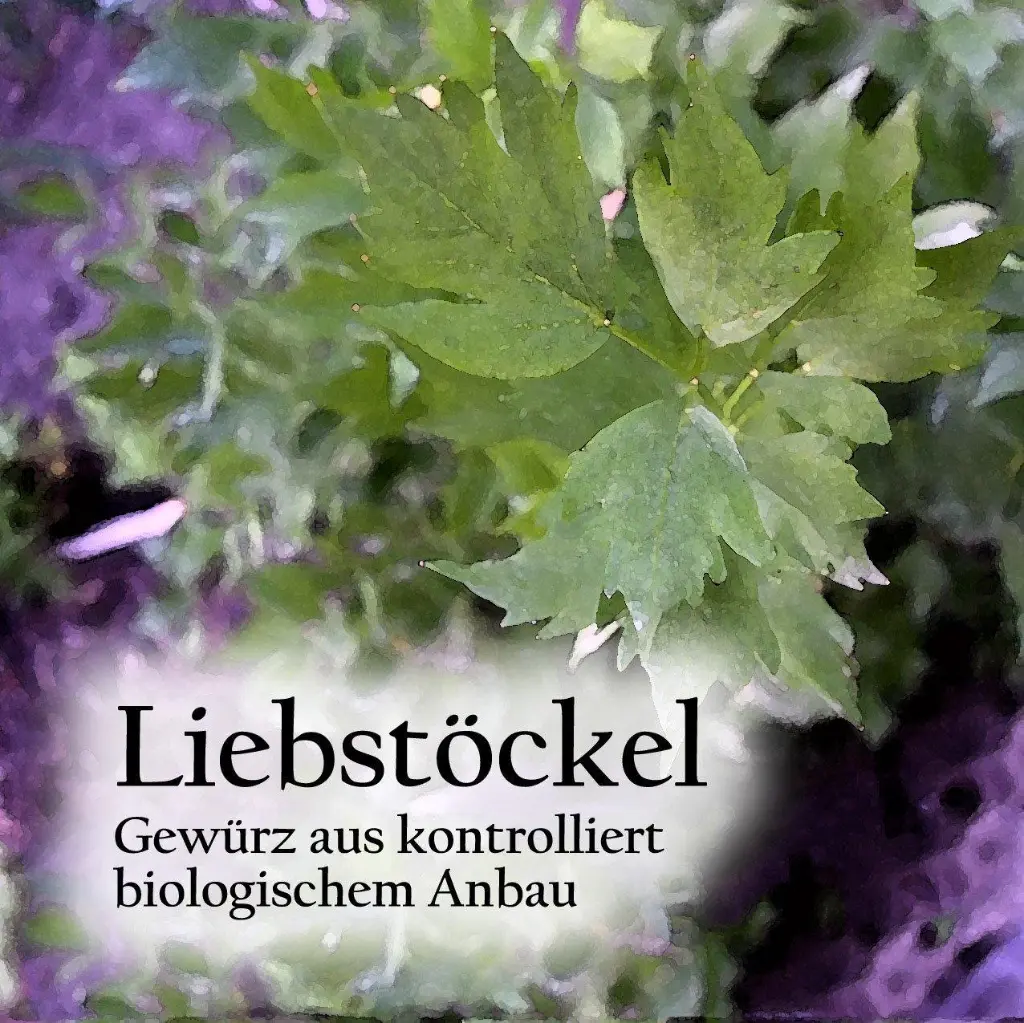 Liebstoeckelbz_1800x18003e23.webp