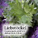 Liebstoeckelbz_1800x18003e23.webp