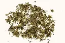 beifuss-lose_720x.webp
