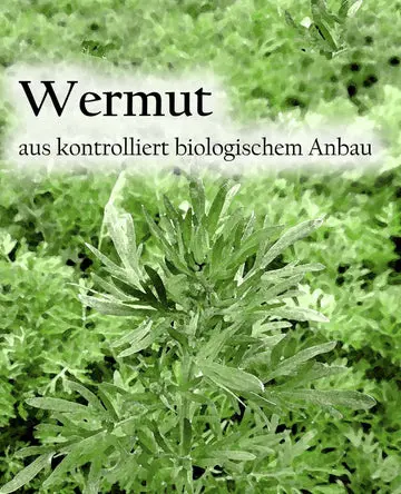 Etikett-Wermutbs_360x.webp