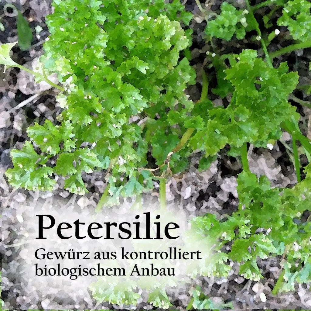 Petersiliecc_1800x1800e148.webp