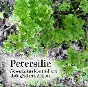 Petersiliecc_1800x1800e148.webp