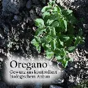 Oreganocb_360x.webp