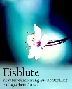Etikett-Eisblueteneu_360x.webp