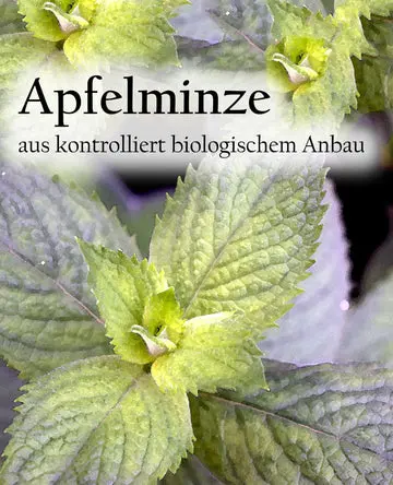 Etikett-Apfelminze_360x.webp
