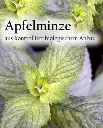 Etikett-Apfelminze_360x.webp