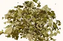 brombeerblaetter-lose_720x.webp