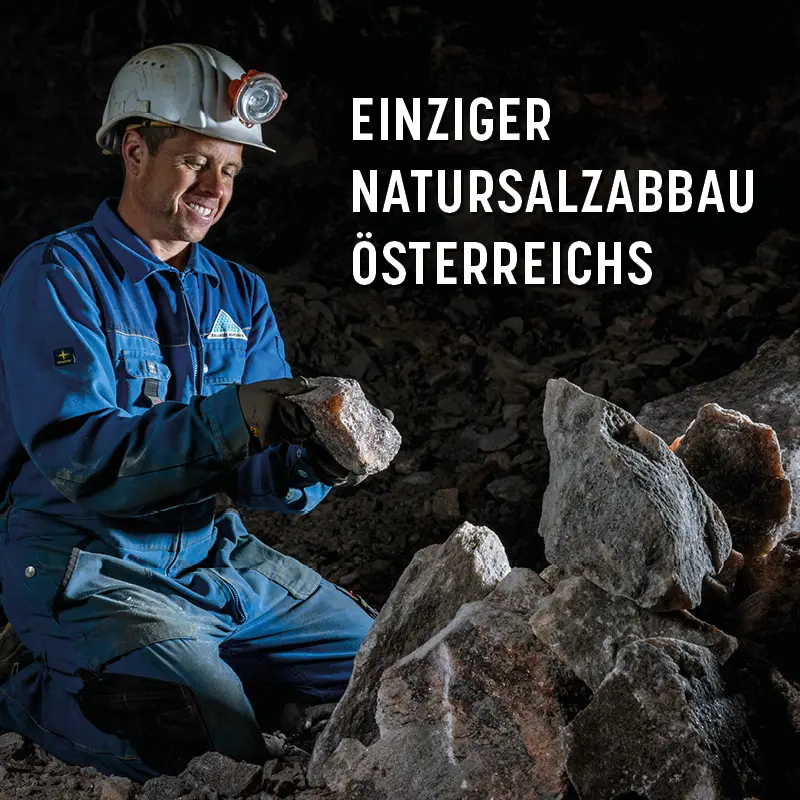bi-natursalz-webshop-einziger-abbau.webp