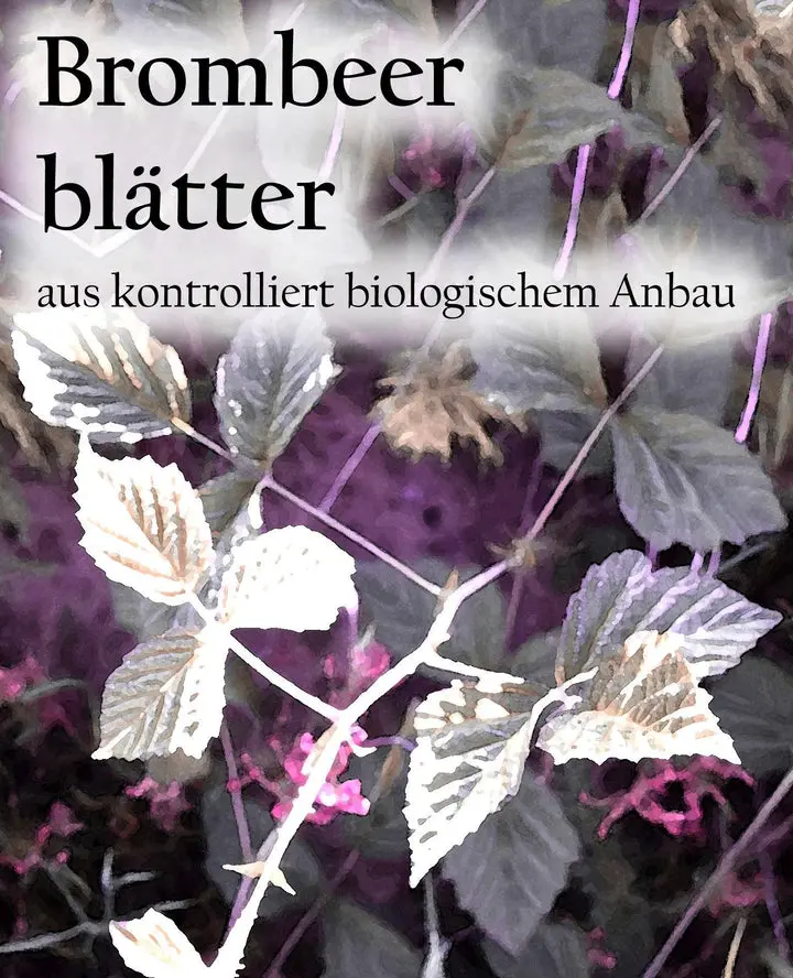 Etikett-Brombeerblaetter_720x.webp