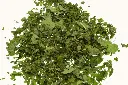 anisysop-lose_720x.webp