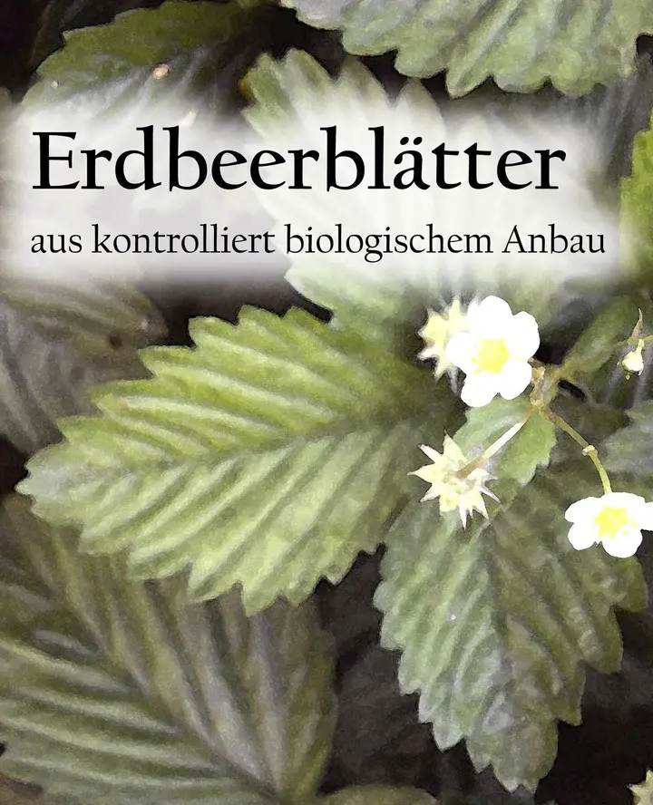 Etikett-Erdbeerblaetteri_.webp