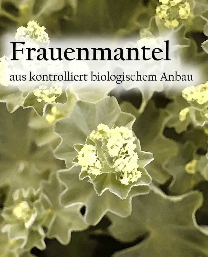 Etikett-Frauenmantelm_.webp