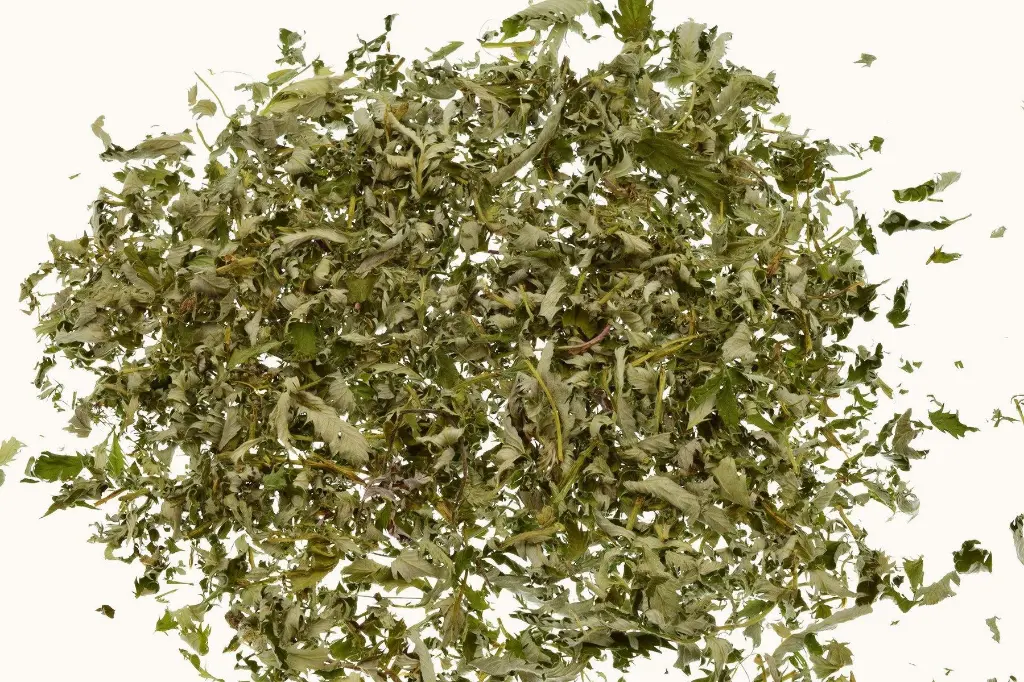 gaensefingerkraut-lose_1800x1800fba4.webp