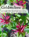 Etikett-Goldmelisse.webp