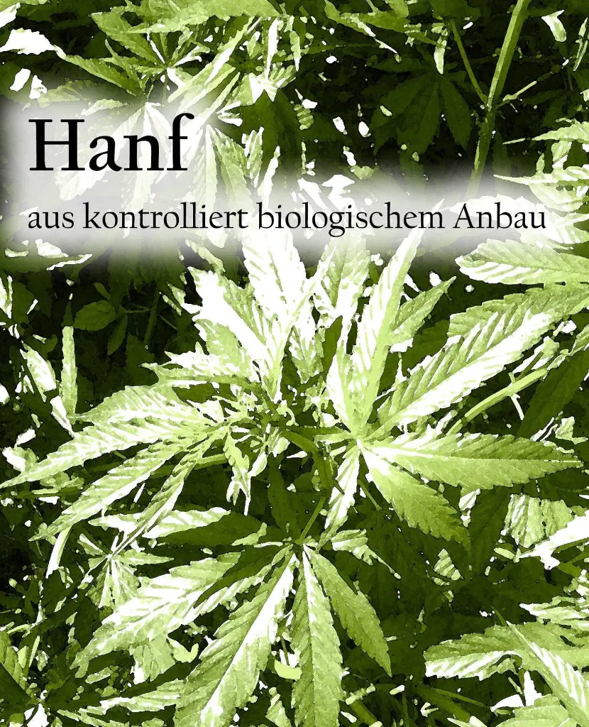Etikett-Hanfx_1800x18009319.webp