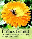 Etikett-Frohes_Gemuetp_720x.webp