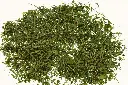 heublumen-lose_1800x1800174d.webp