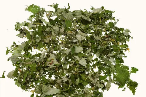 himbeerblaetter-lose_480x174d.webp
