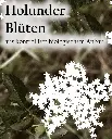 Etikett-Holunderbluetenaf_720x.webp
