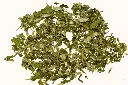 huflattichblaetter-lose_1800x18002d2a.webp