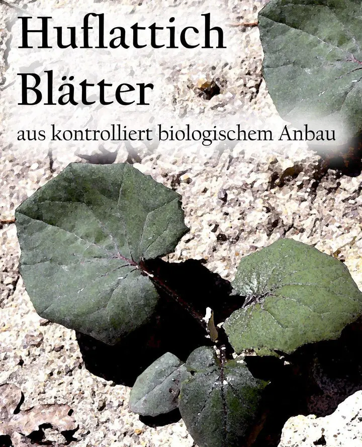 Etikett-Huflattichblaetterah_720.webp