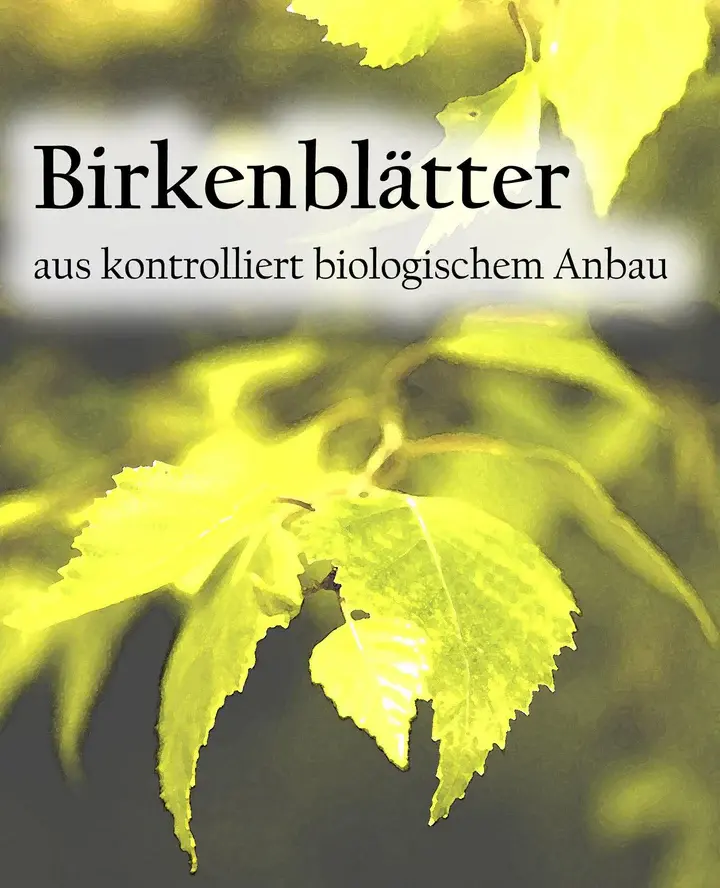 Etikett-Birkenblaetter_.webp