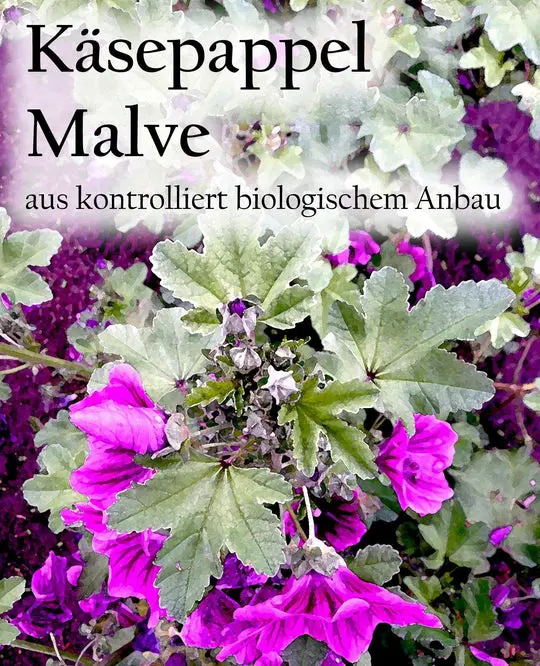 Etikett-Kaesepappel-Malvean_540x.webp
