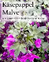 Etikett-Kaesepappel-Malvean_540x.webp