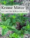 Etikett-Krauseminzear_360x.webp