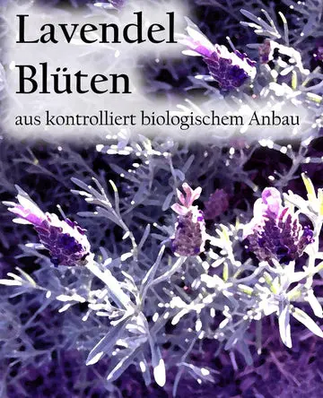 Etikett-Lavendelbluetenau_360x.webp