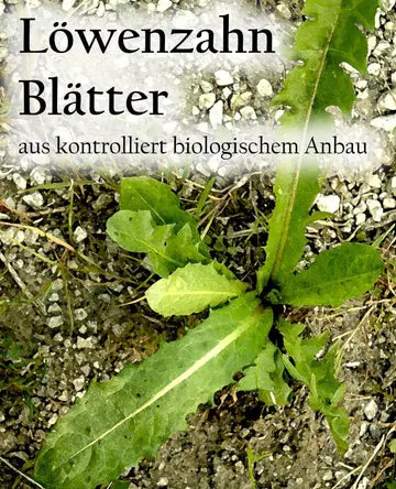Etikett-Loewenzahnblaetterax_360.webp