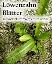 Etikett-Loewenzahnblaetterax_360.webp