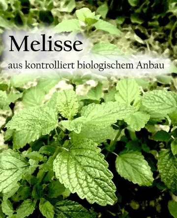 Etikett-Melisseay_360x.webp