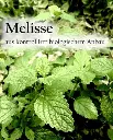 Etikett-Melisseay_360x.webp