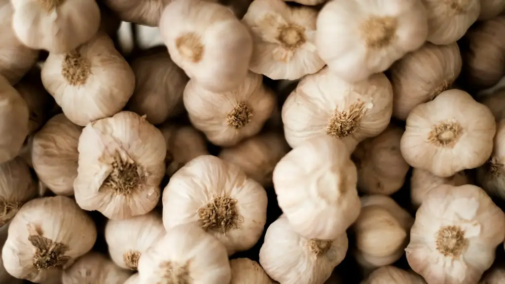 Knoblauch