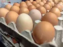 Eier