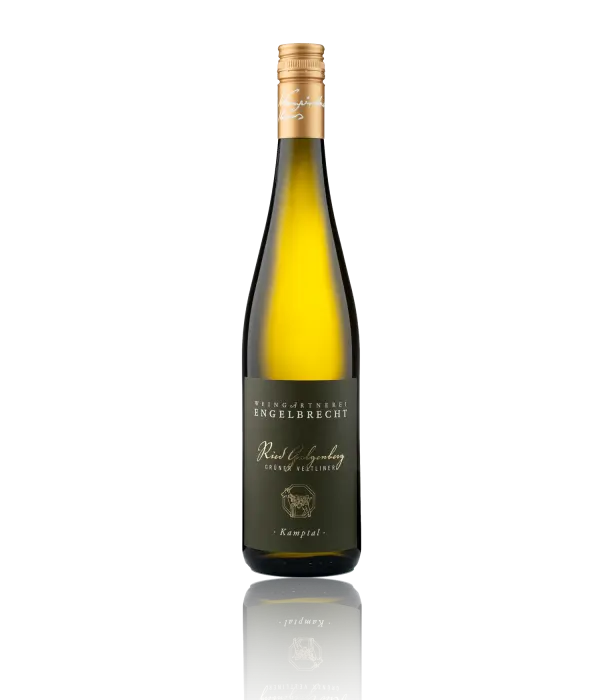 2023 Ried Galgenberg – Grüner Veltliner 🍷✨ 2023