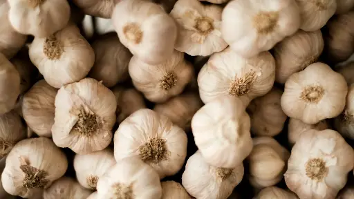 Knoblauch