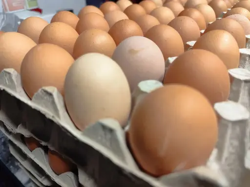 Eier