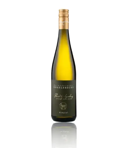 2023 Ried Galgenberg – Grüner Veltliner 🍷✨ 2023